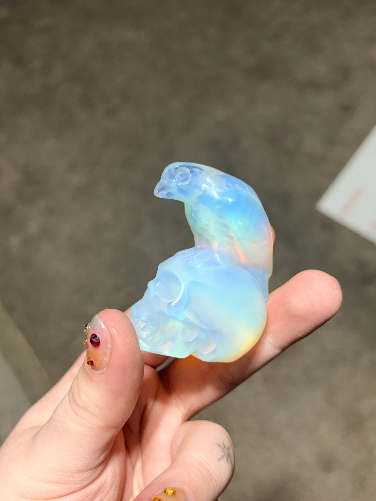 Opalite raven on skull carving 🌕