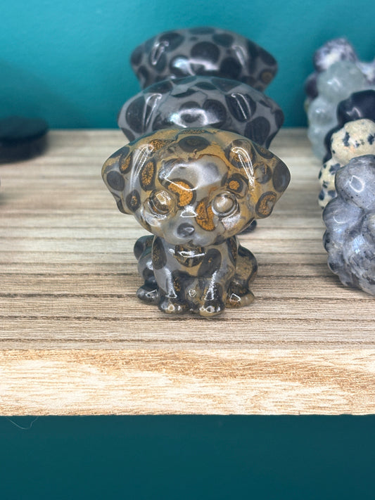 Leopard Jasper doggie 🌕