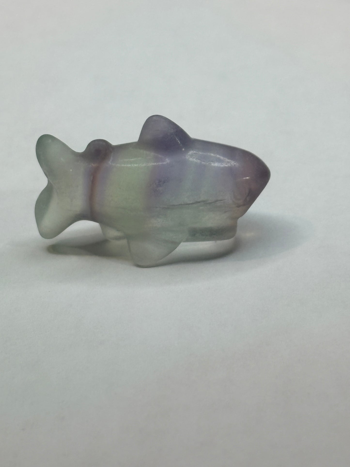 Shark crystal carving 🎄 (choose your stone)