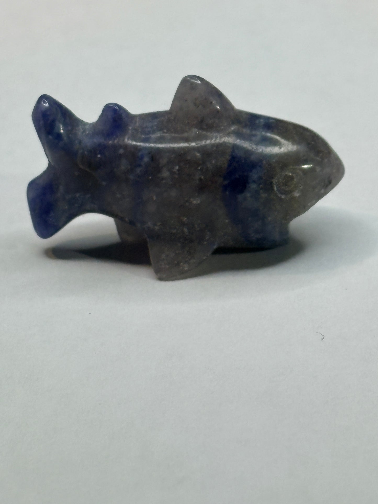 Shark crystal carving 🎄 (choose your stone)
