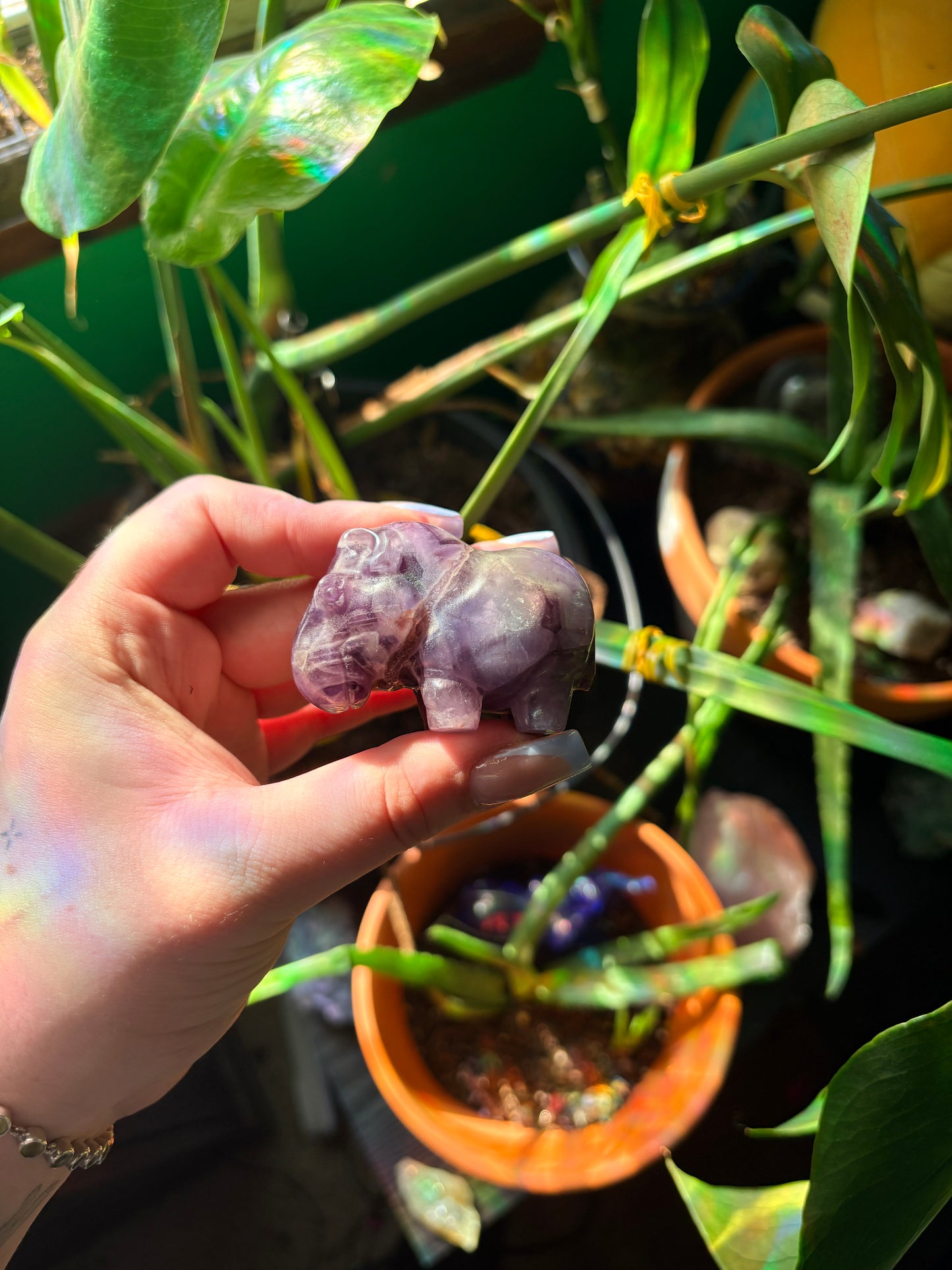 Amethyst hippo carving 🐣