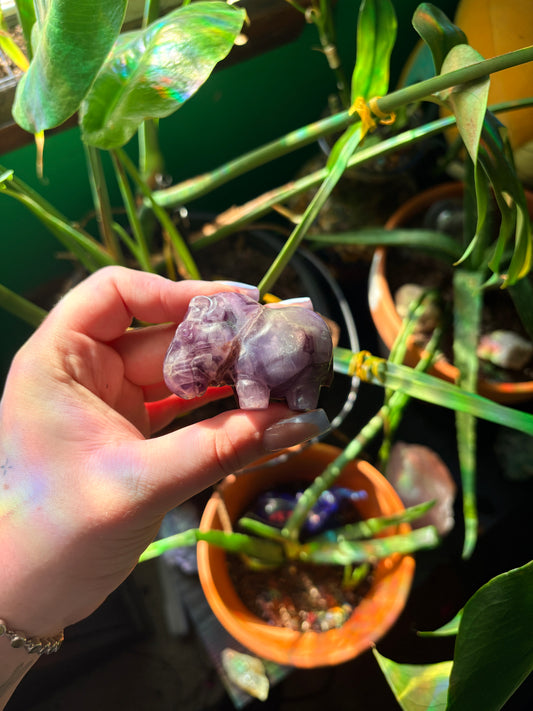 Amethyst hippo carving 🐣