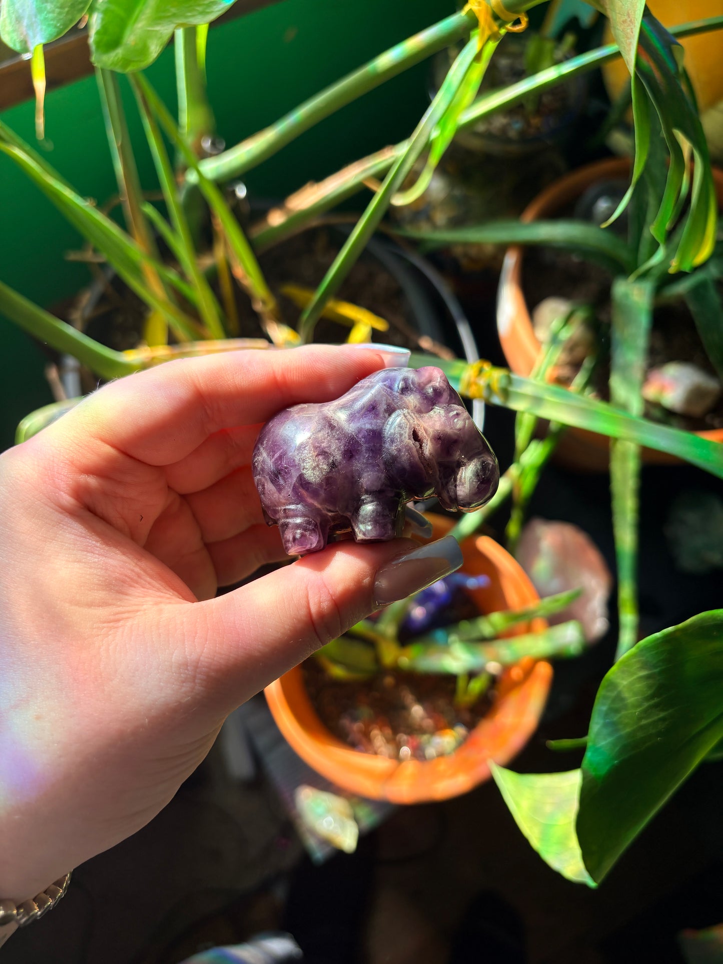 Amethyst hippo carving 🐣