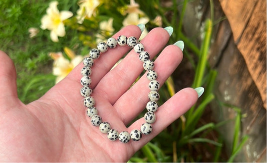 Dalmatian jasper 8mm bracelet